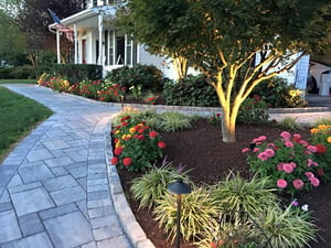 blu 60 paver walk 2